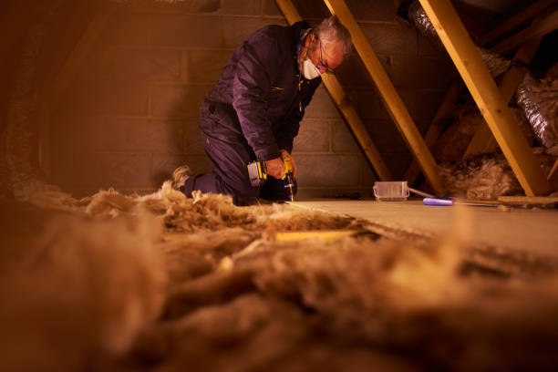 Best Attic Insulation Installation  in Quartz Hill, CA